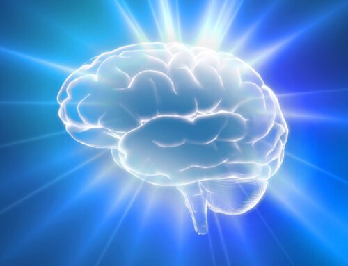 Boost Your Brain Health with Andrew Huberman